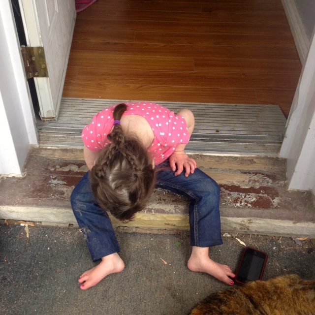 This little bug figured out how to get over the step and onto the porch floor without any momma assistance!